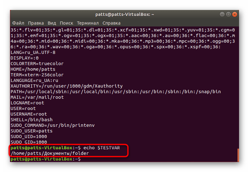 Проверить работу локальной переменной окружения в Linux