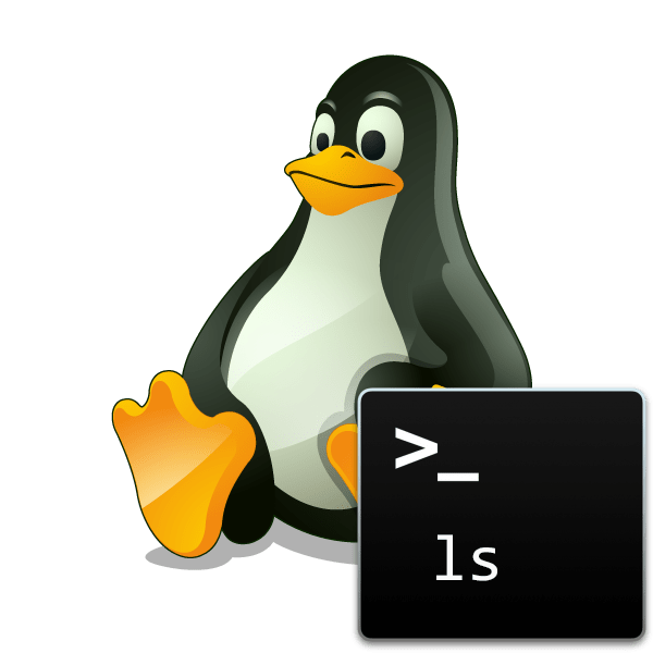 Приклади команди ls в Linux