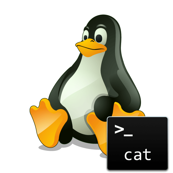 Приклади команди cat в Linux