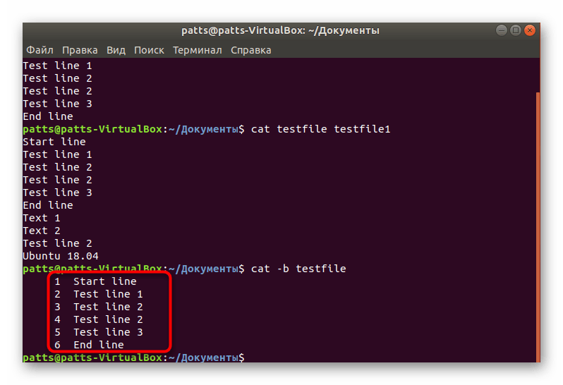 Наглядный пример нумерации в Linux через команду cat