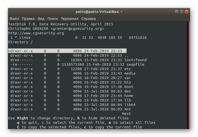 Список найденных файлов раздела TestDisk в Ubuntu
