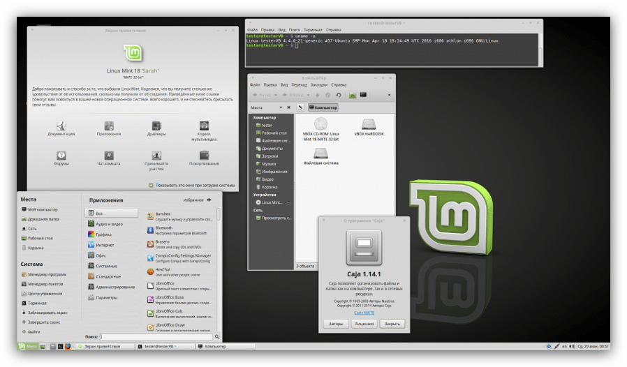 скриншот рабочего стола linux mint