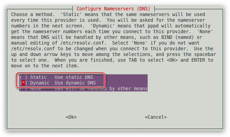 окно configure nameservers dns в утилите pppconfig