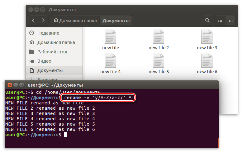 изменение регистра в имени файлов с помощью команды rename в терминале линукс