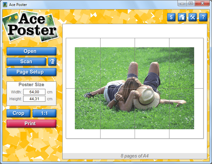Стартовое окно программы Ace Poster