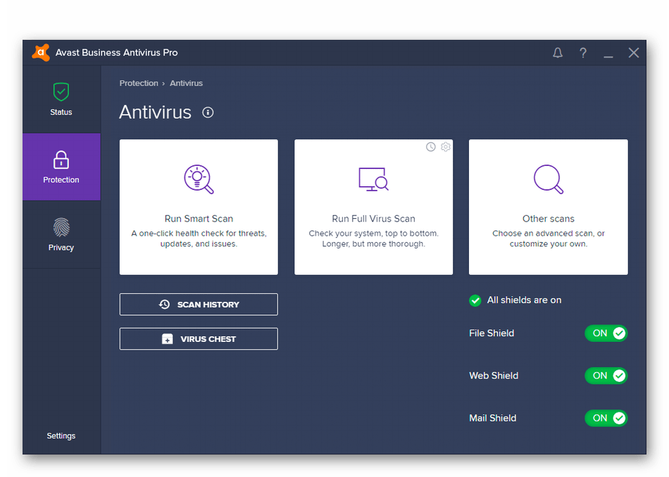 Внешний вид программы Avast Business Antivirus Pro