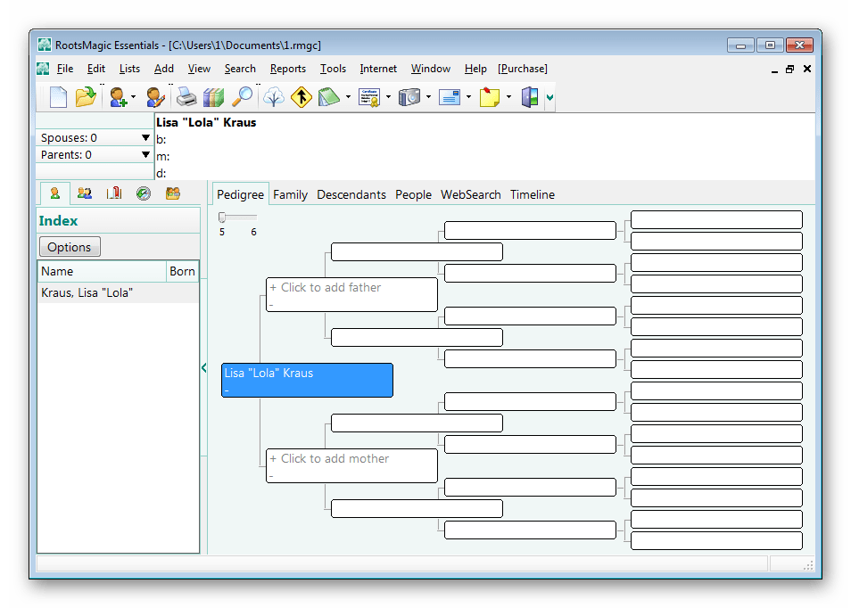 Главное окно RootsMagic Essentials