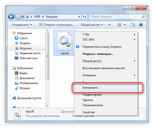 копирование динамической библиотеки hal.dll в windows