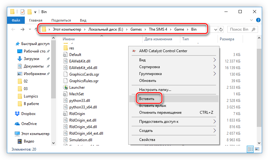 вставка библиотеки rldorigin в директорию игры