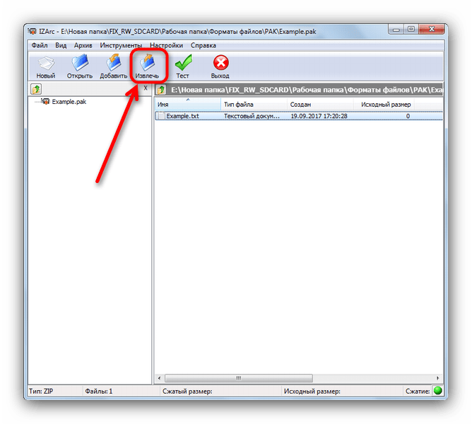 Извлечь файл из архива IZArc