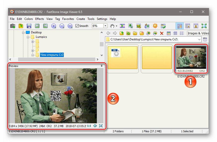 Просомотр превью СР2 изображения в программе Faststone Image Viewer