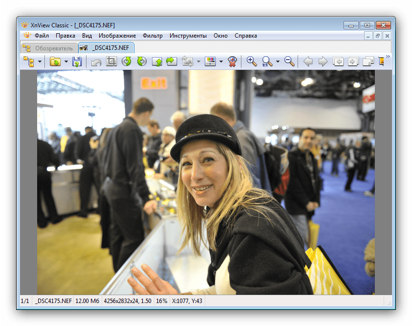 Открытый в XnView NEF-файл