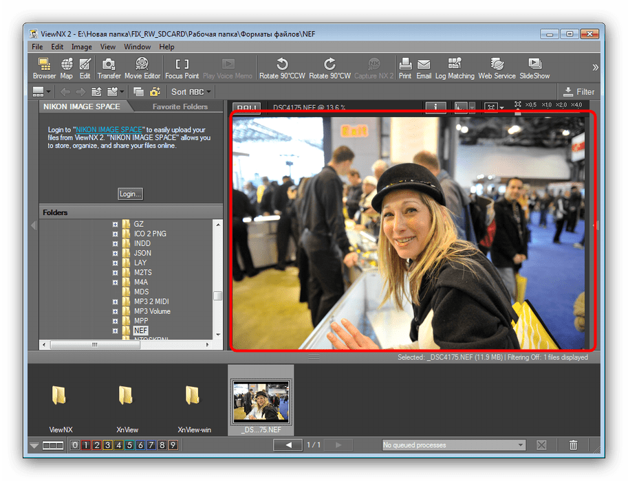 Открытый NEF-файла в программе ViewNX