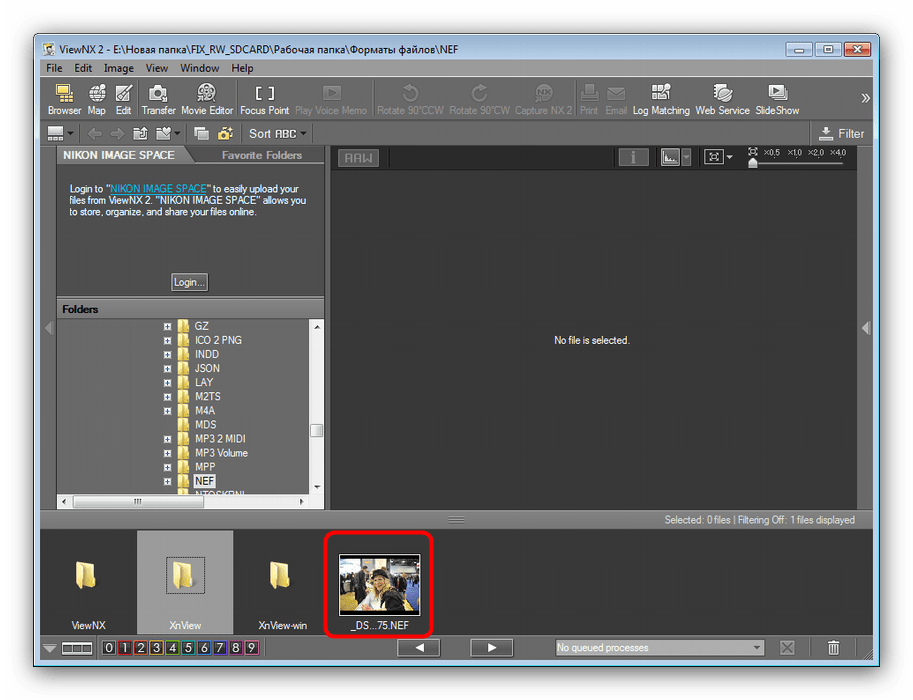 Открытие NEF-файла в программе ViewNX