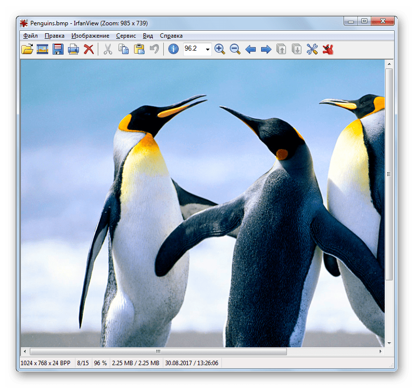 Изображение BMP открыто в программе IrfanView