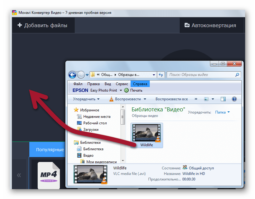 перемещение файла в Movavi Video Converter