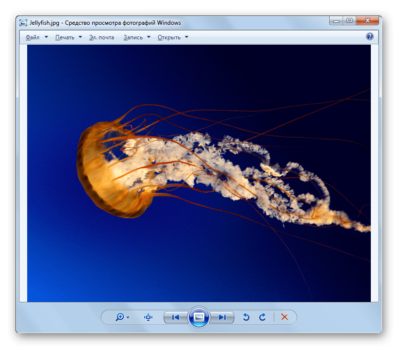 Изображения JPG открыто в оболочке Средства для просмотра фотографий Windows
