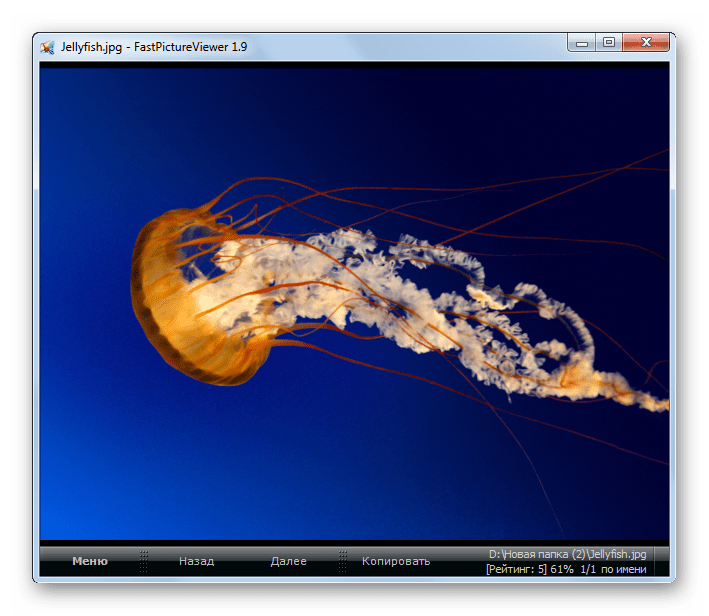 Изображения JPG открыто в новой вкладке в программе FastPictureViewer