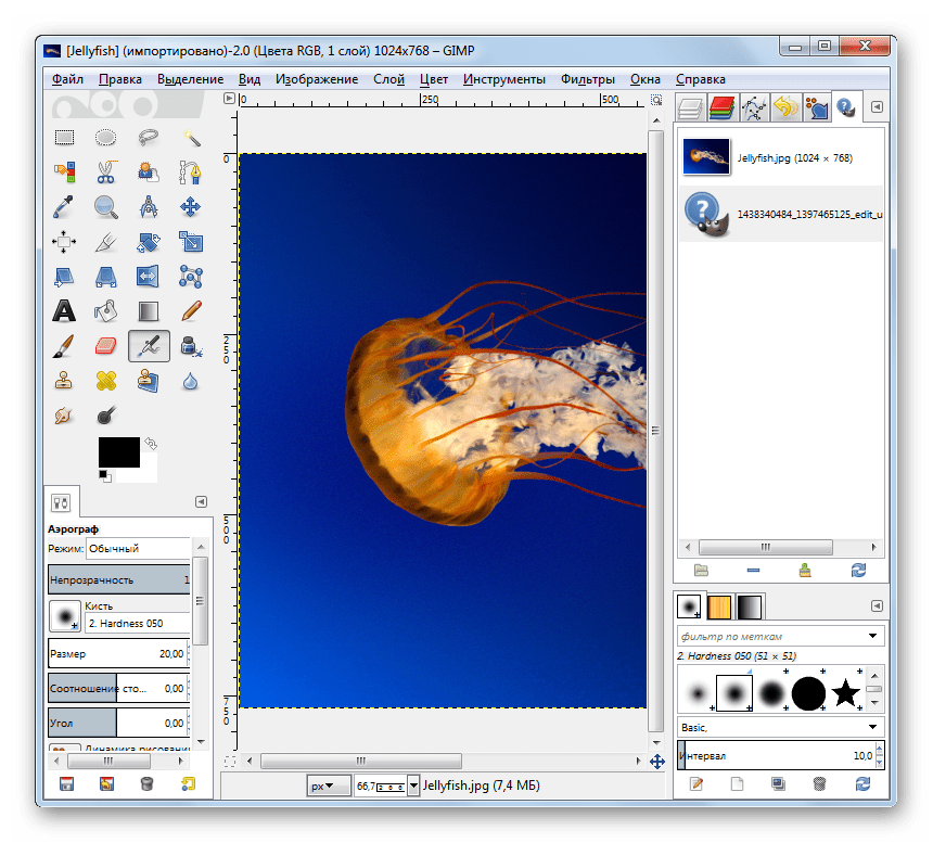 Изображения JPG открыто в программе Gimp
