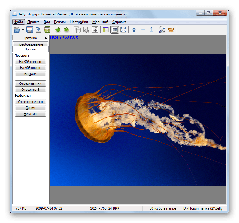 Изображения JPG открыто в программе Universal Viewer