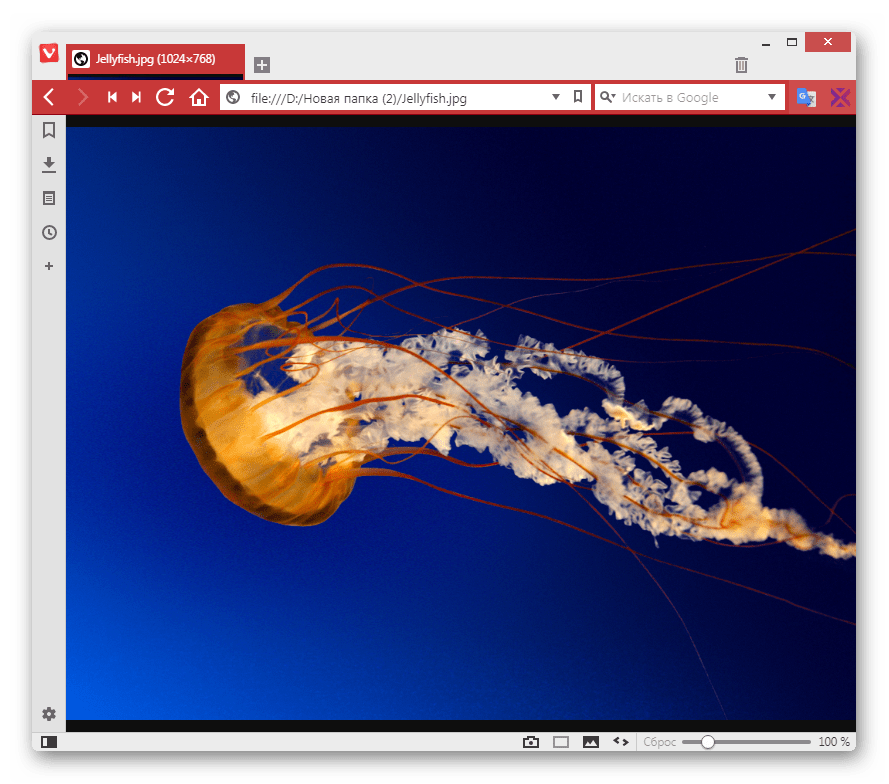 Изображения JPG открыто в браузере Vivaldi