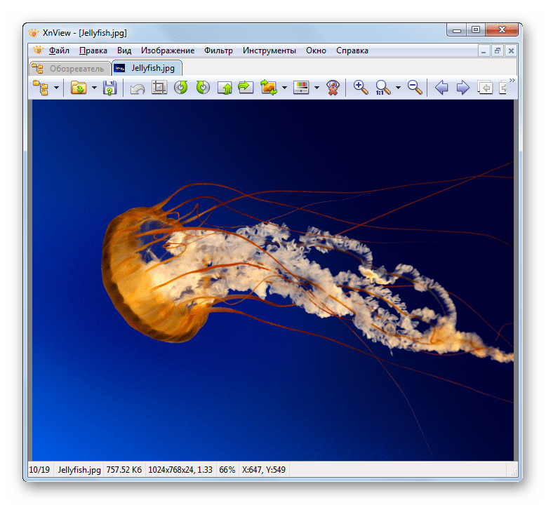 Изображения JPG открыто в новой вкладке в программе XnView