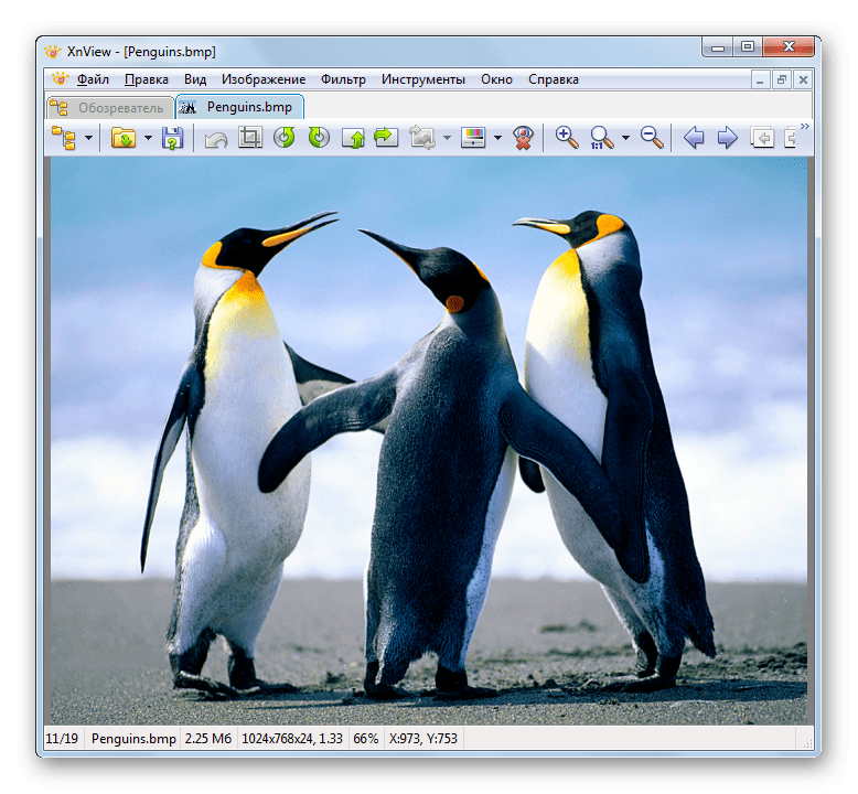 Изображение BMP открыто в программе XnView