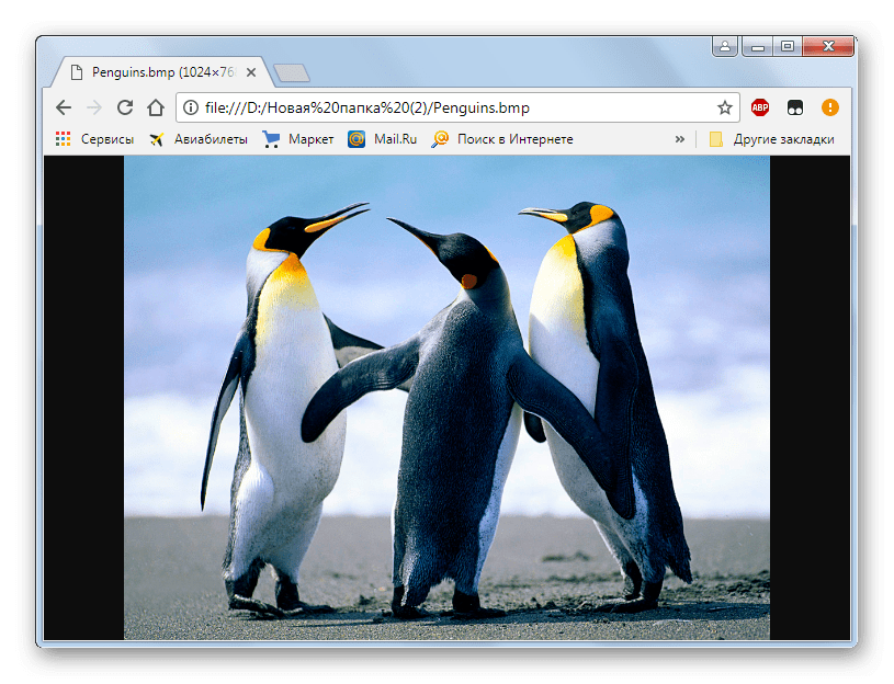 Изображение BMP открыто в браузере Google Chrome