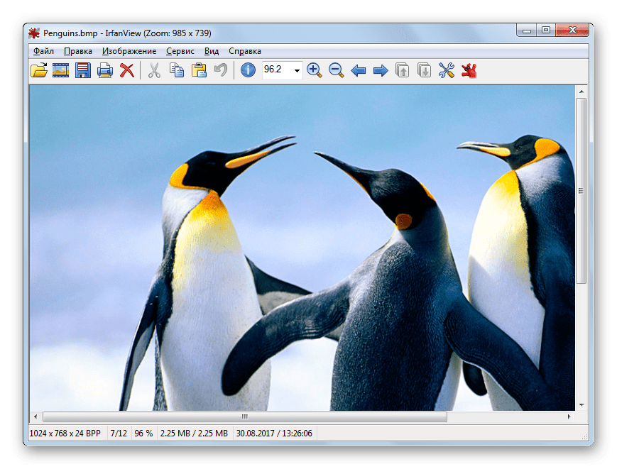 Изображение BMP открыто в программе FastStone Image Viewer