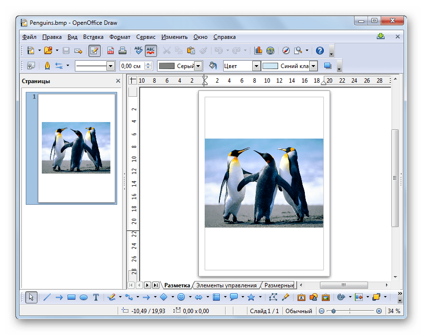 Изображение BMP открыто в программе OpenOffice Draw