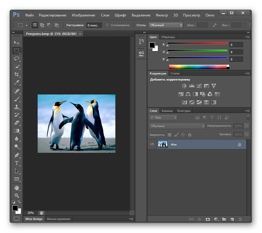 Изображение BMP открыто в программе Adobe Photoshop