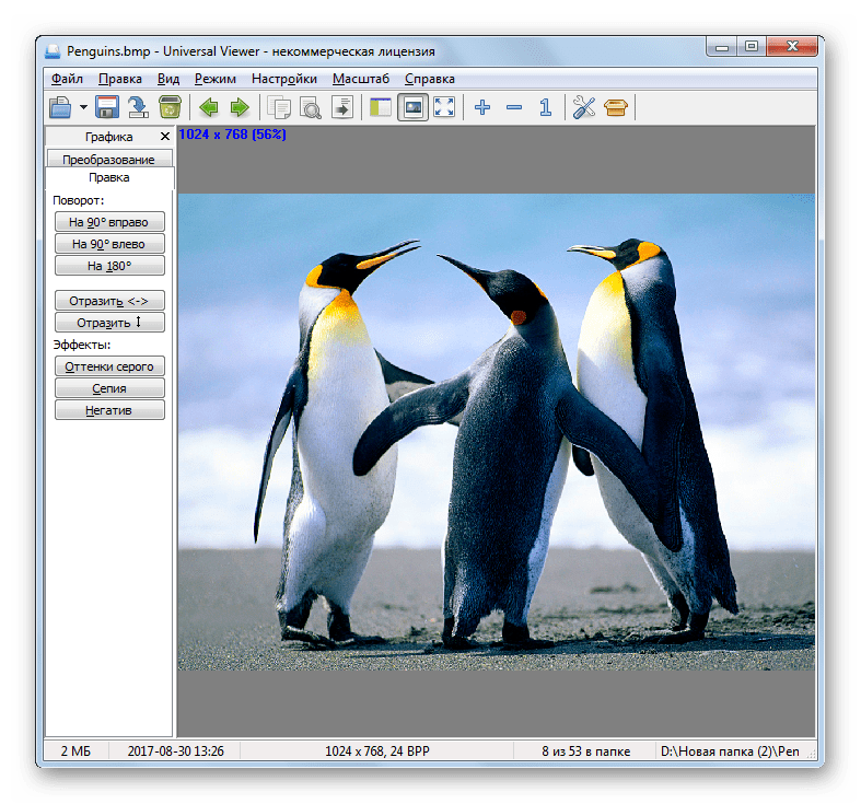 Изображение BMP открыто в программе Universal Viewer