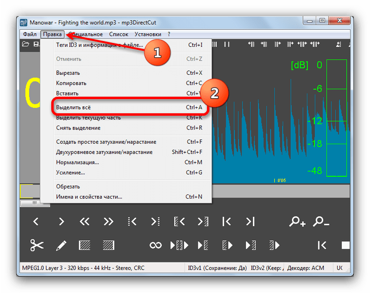 Выбрать все пространство записи в Mp3DirectorCut