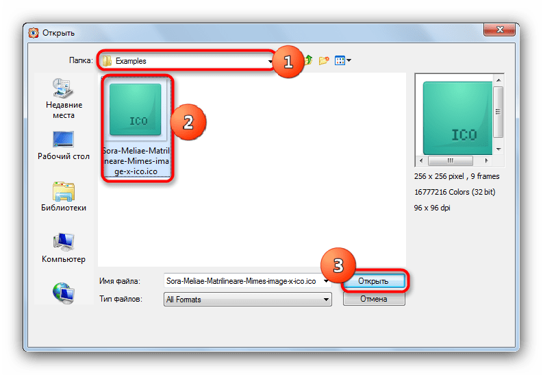 Выбрать файл для преобразования в FastStone Image Viewer