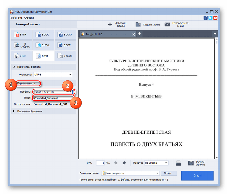 Блок настроек выходного формата преобразования Переименовать в программе AVS Document Converter