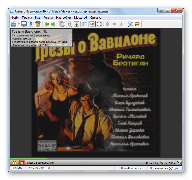 Воспроизведение аудиокниги M4B в программе Universal Viewer