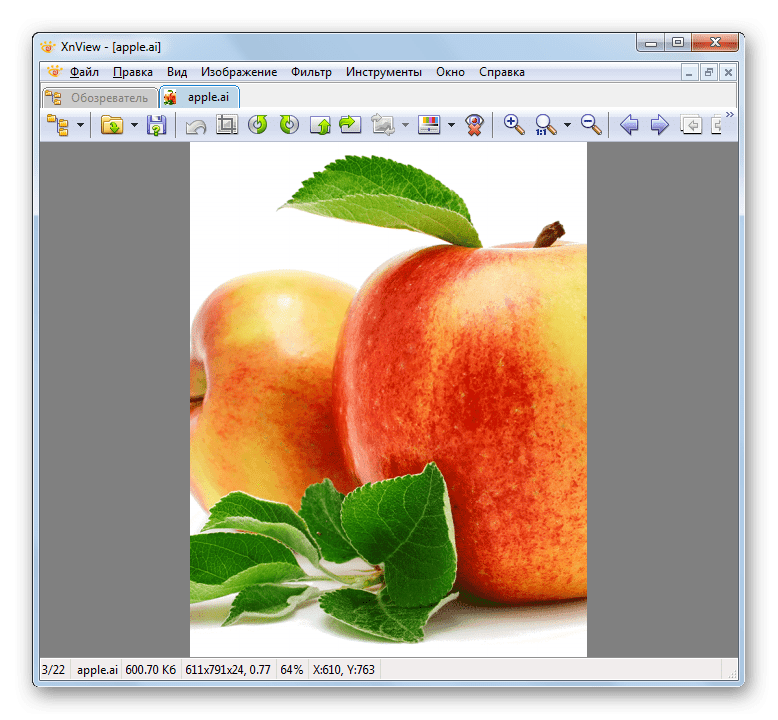 Содержимое файла в формате AI открыто в программе XnView