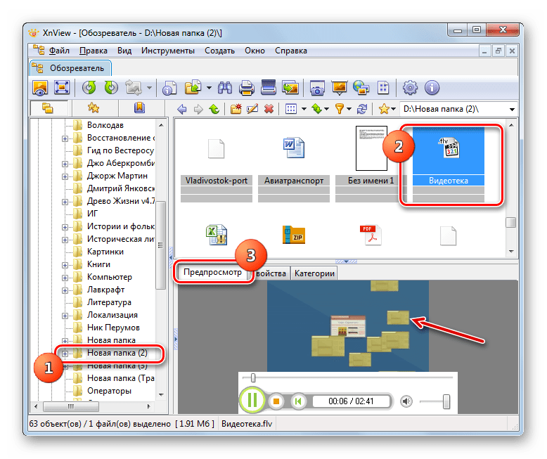 Предпросмотр видеоролика FLV в программе XnView