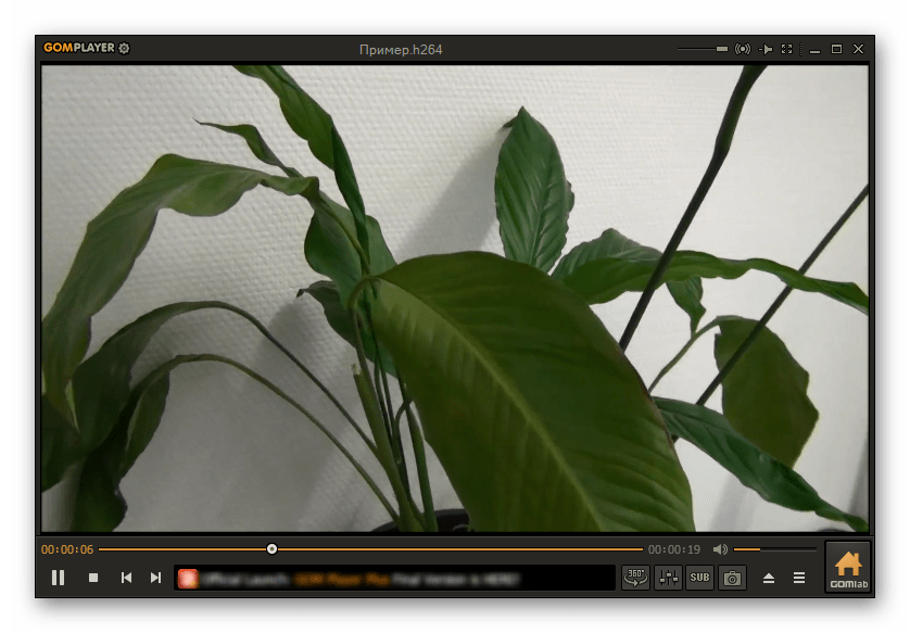 Воспроизведение H.264 в GOM Player
