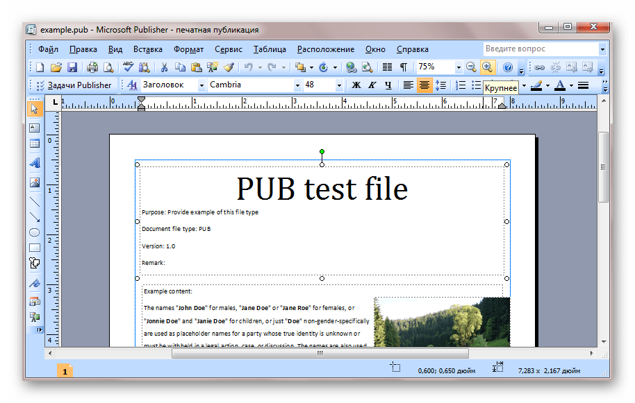 Просмотр PUB в Microsoft Office Publisher