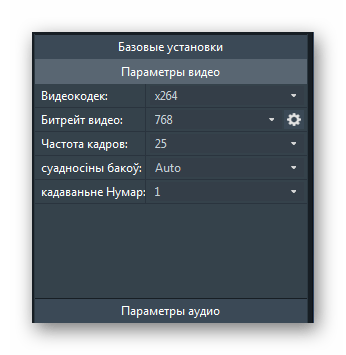 Настройка параметров выходного файла в Any Video Converter Free