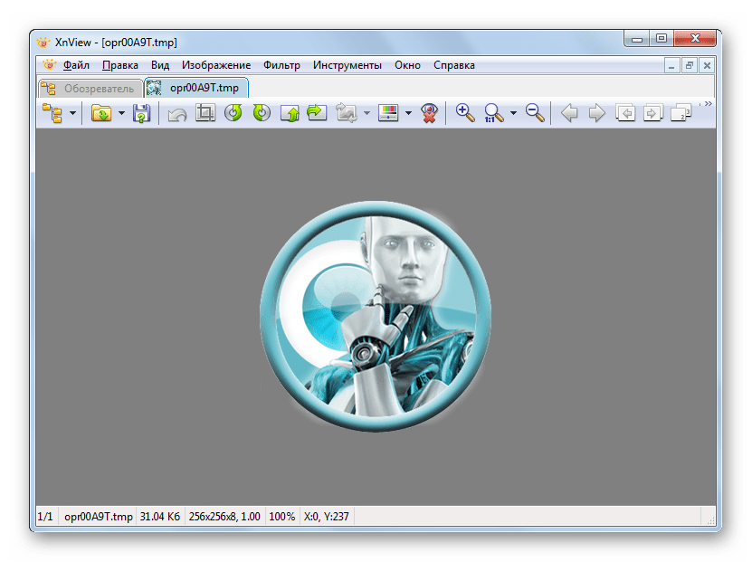 Временный файл TMP открыт в XnView