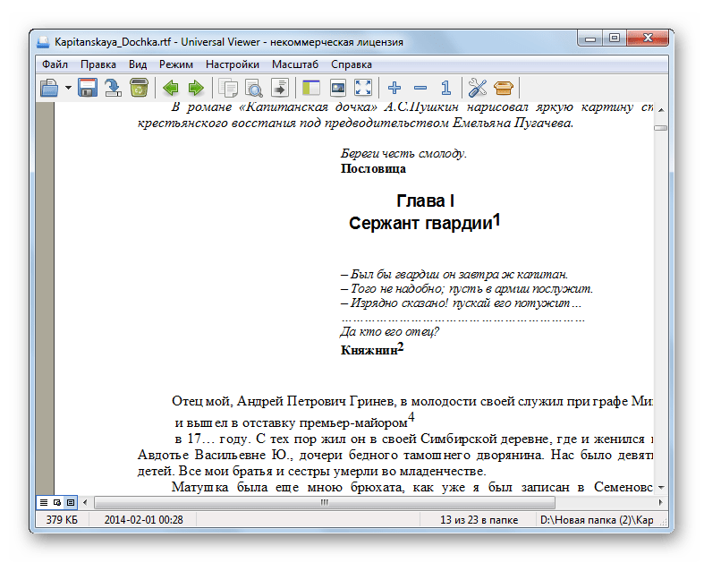 Файл RTF открыт в программе Universal Viewer