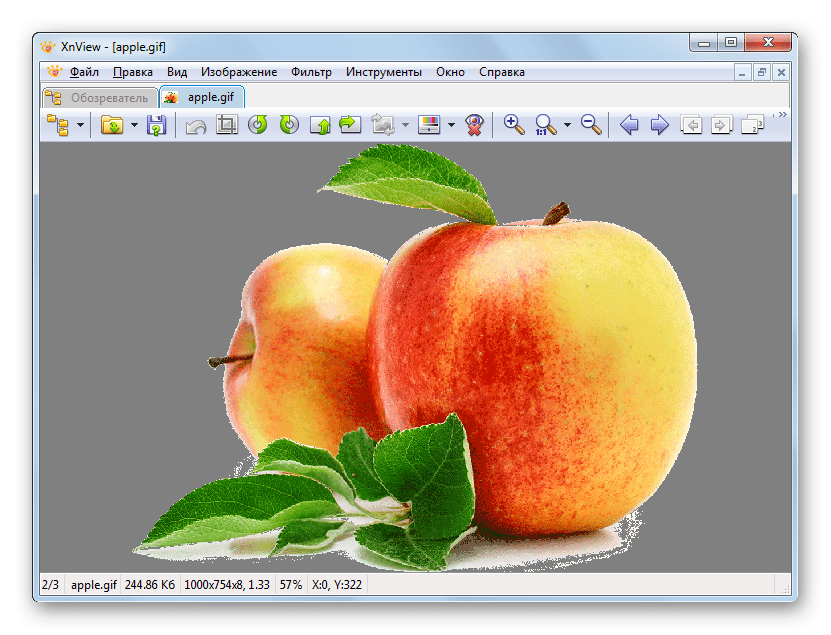 Изображения GIF открыто в программе XnView