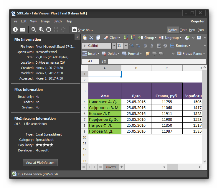 Файл XLS открыт в программе File Viewer Plus