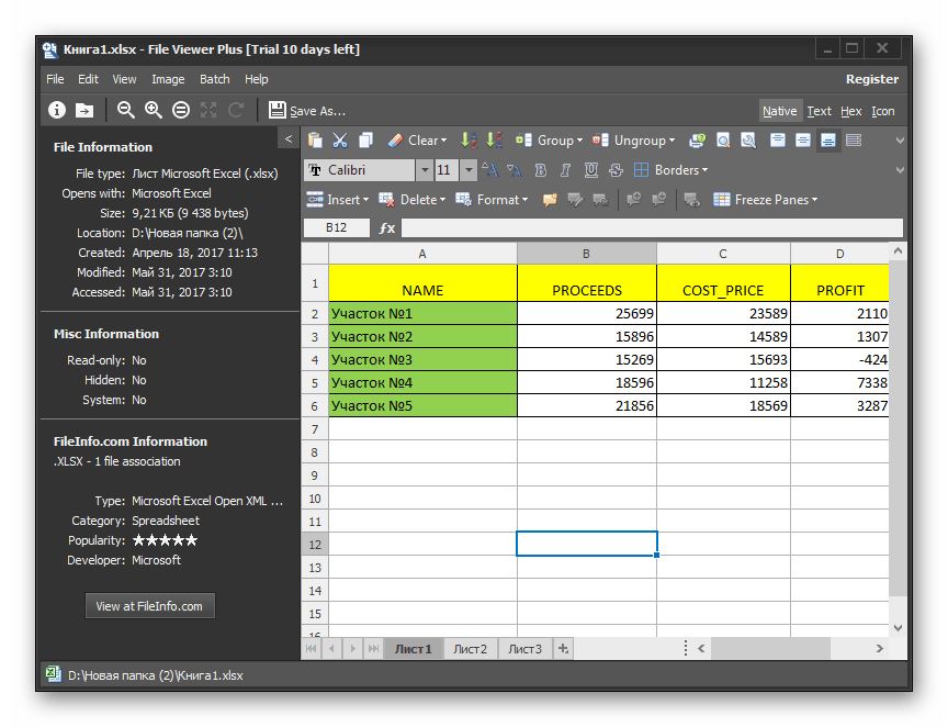 Файл открыт в программе File Viewer Plus