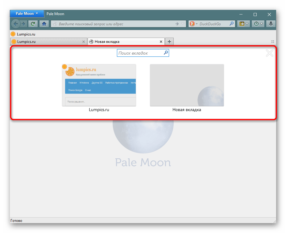 Инструмент Просмотр всех вкладок в Pale Moon