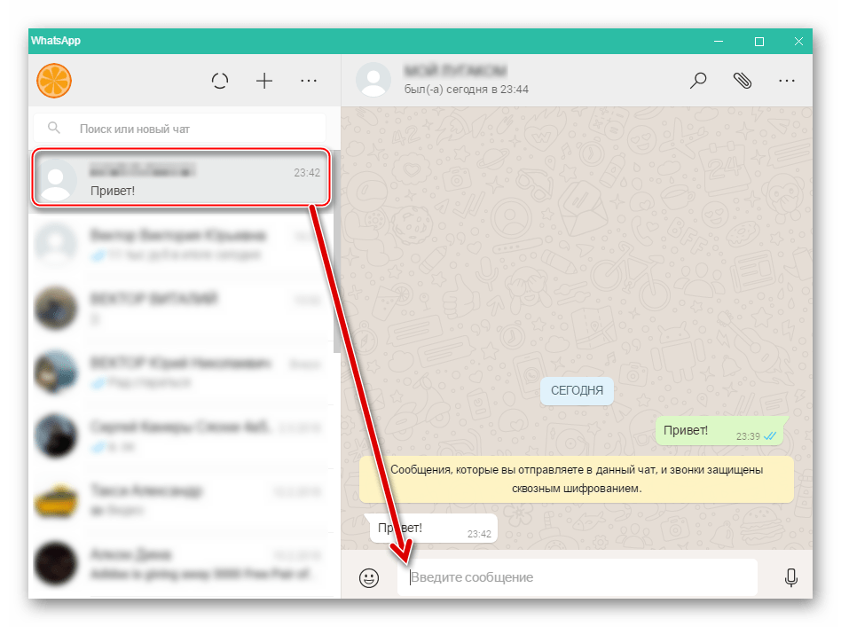 WhatsApp для Windows окно переписки