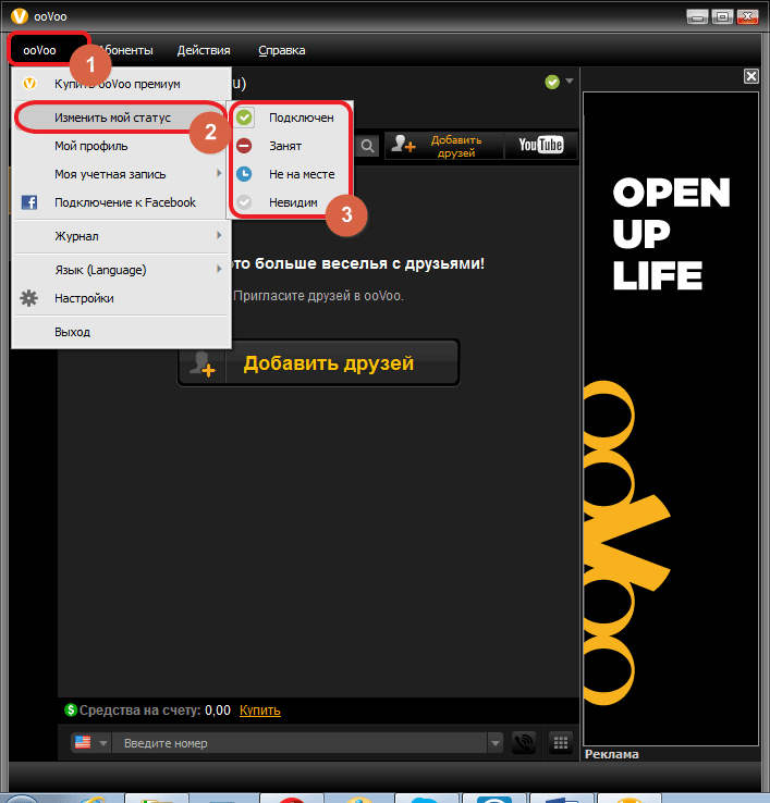 Смена статуса в программе ooVoo