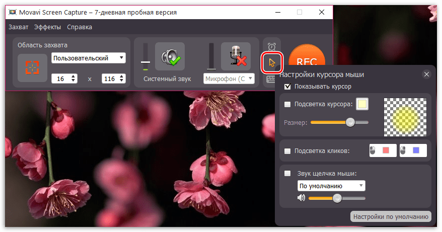 Настройка курсора мыши в Movavi Screen Capture